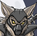 vanraccoon