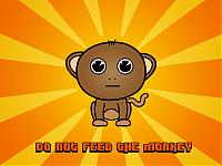 idolmonkey