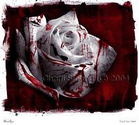 deathbringsdarkness