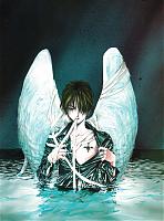 graphicartist11