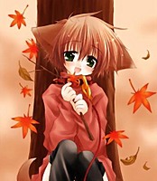 Hikari_Kokoro