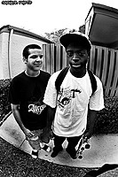 djdrex