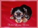 babygirl1562