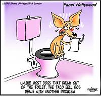 tacopacos
