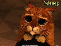 druidirvin