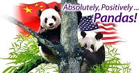 pandagirl101