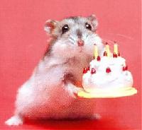 AwesomeHamster