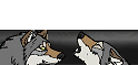WolfUKittyPaw