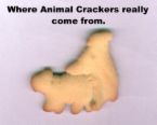 XP_Cracker