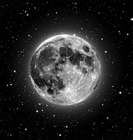 Notae