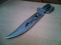 Wulfsige