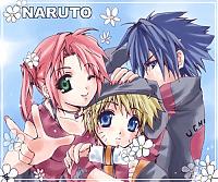 olo_sakura_olo