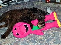 PMS_Barney's Avatar