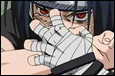 A-RoNIN